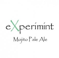 PAMA00002 eXperimint Mojito Pale Ale 33cl